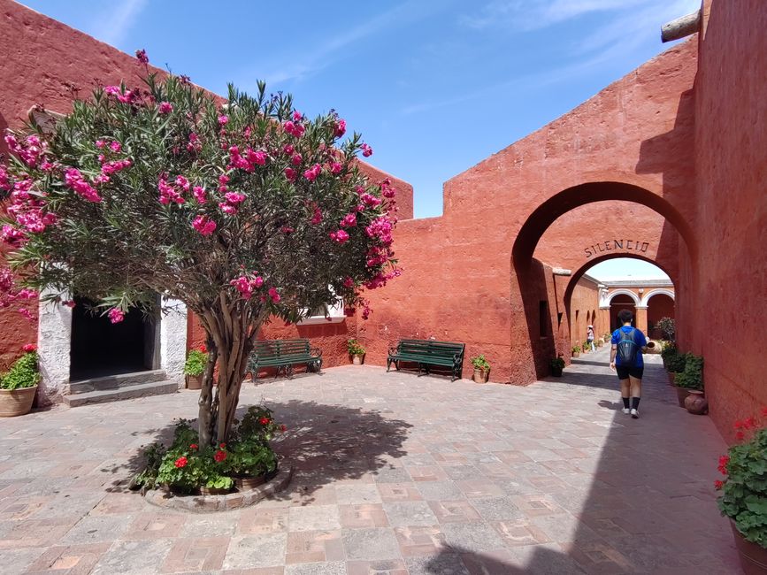 Arequipa: Beautiful Colca Canyon and the best almond peak in the world