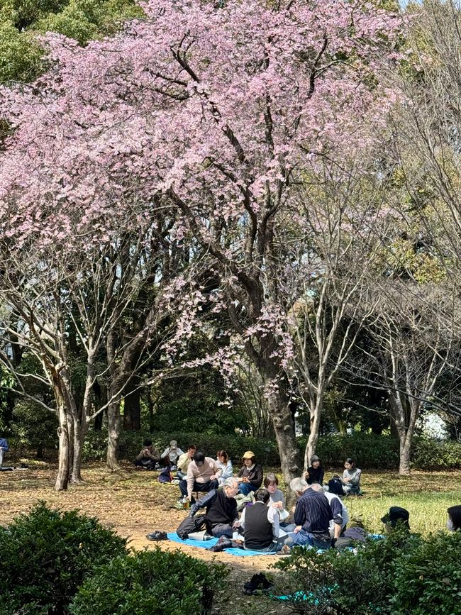Parte 7
BENVENUTO IN GIAPPONE 🇯🇵
TOKYO