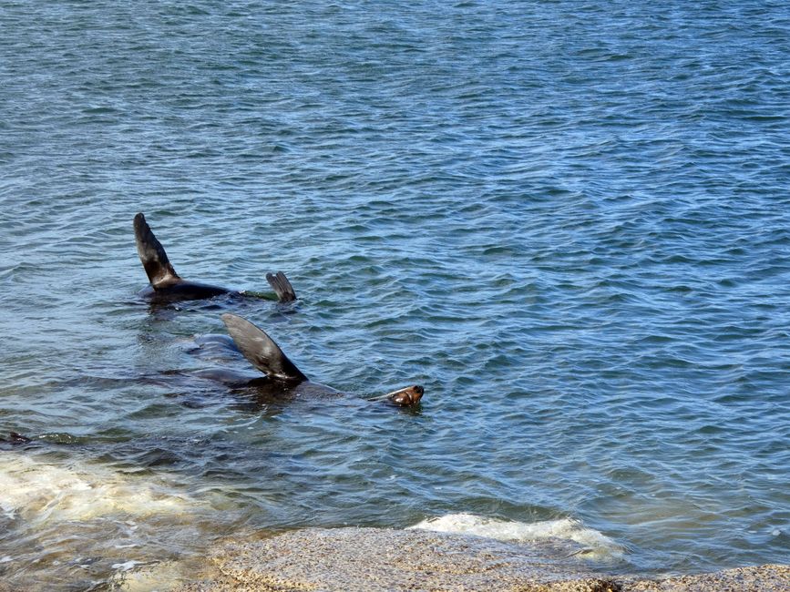 Kingscote, Kangaroo Island