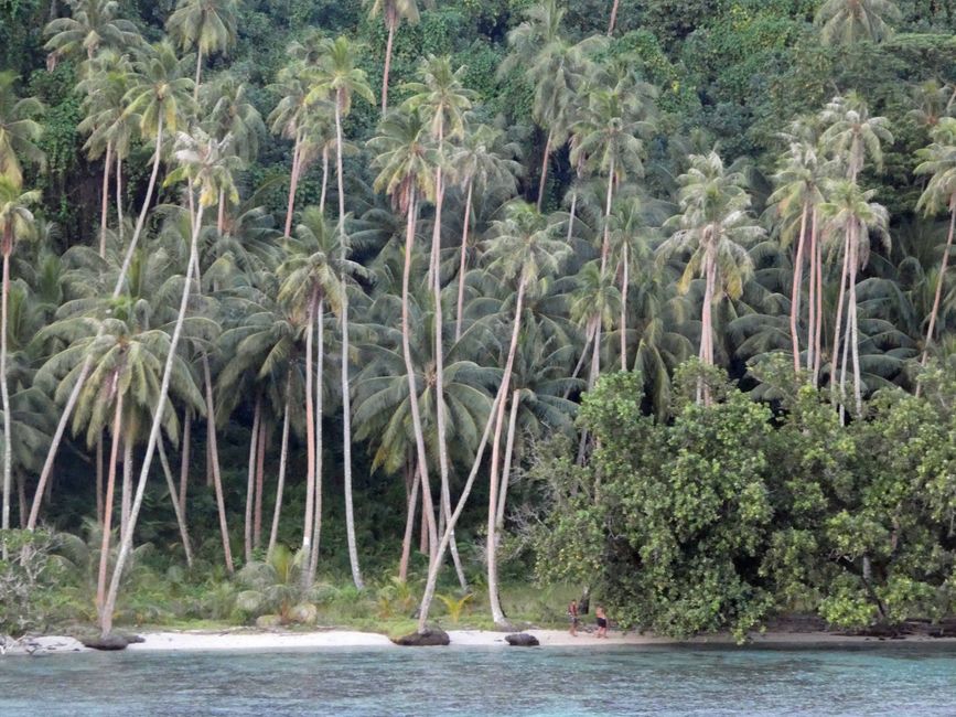 Tahaa 