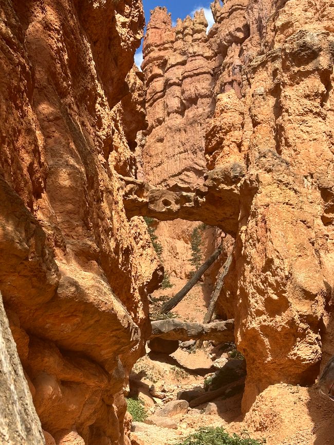 Canyon Land:Zion and  Bryce Canyon❤️