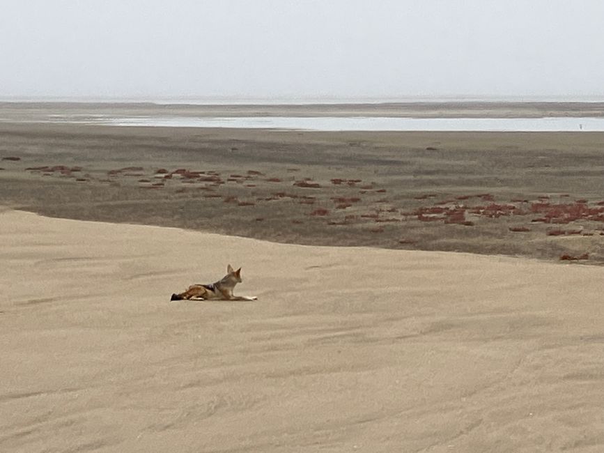 Swakopmund - la ville sur le sable