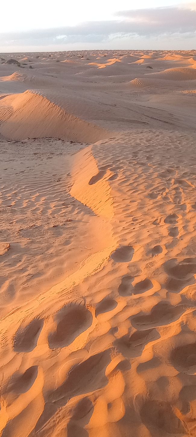 Die Reise in den Sand...