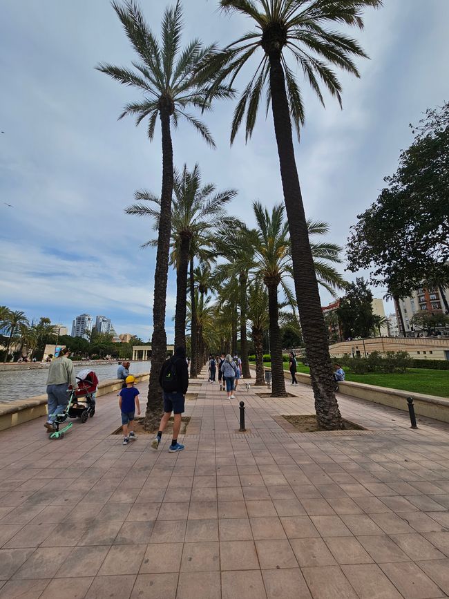 2025 - Aprile - Valencia - Parco del Turia
