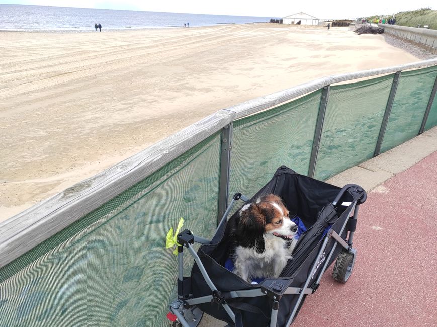 Después del trabajo, una visita a Cuxhaven Duhnen