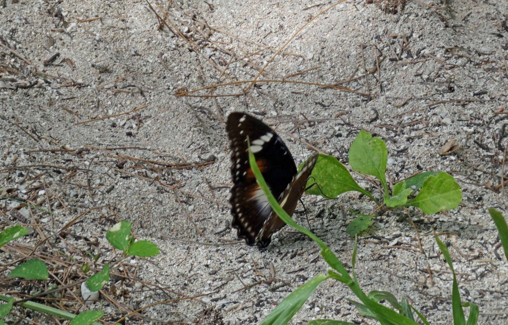 Yasawa-Inseln, Fidschi