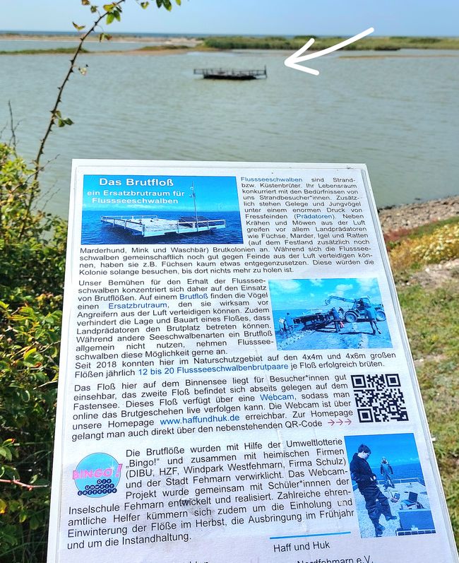 Fehmarn