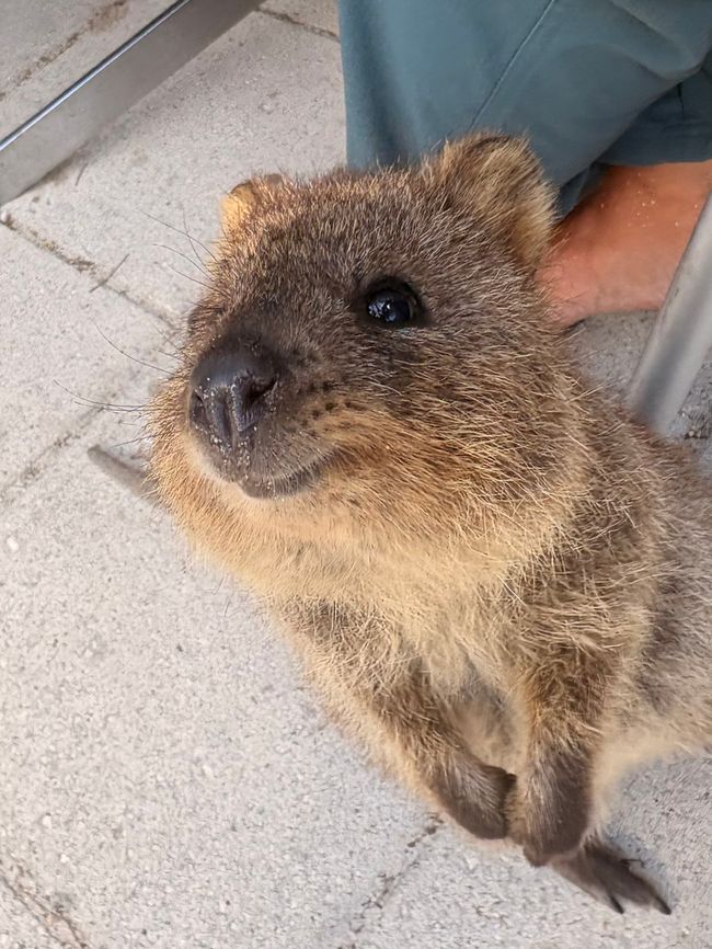 Perth
