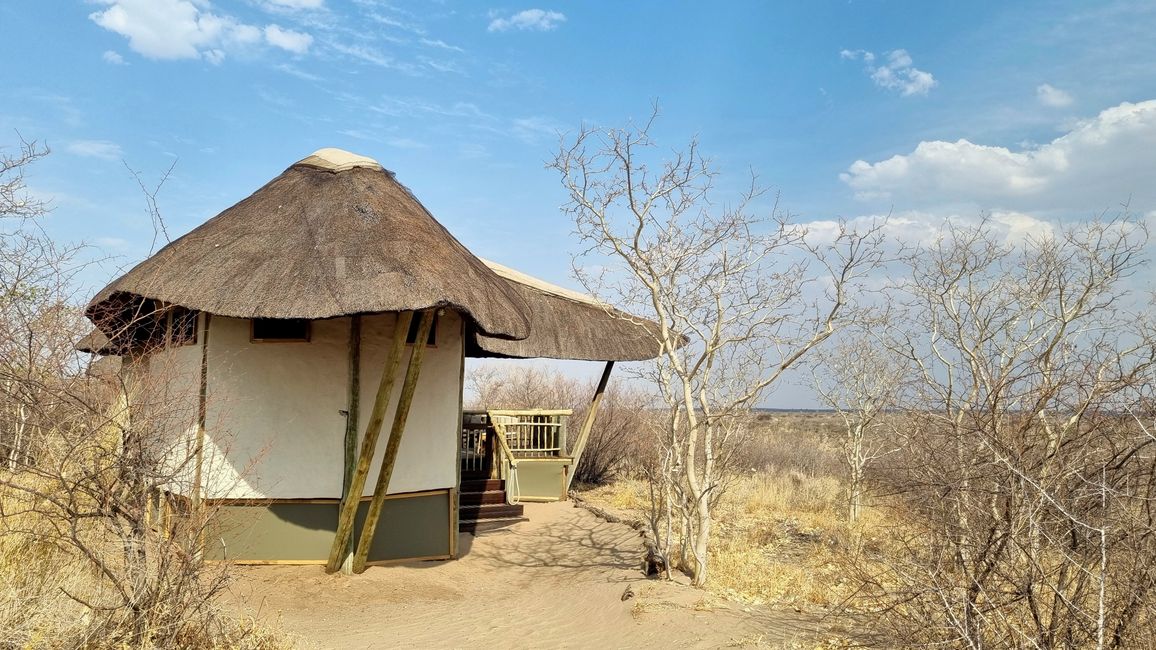 Simbabwe / Botswana 2024