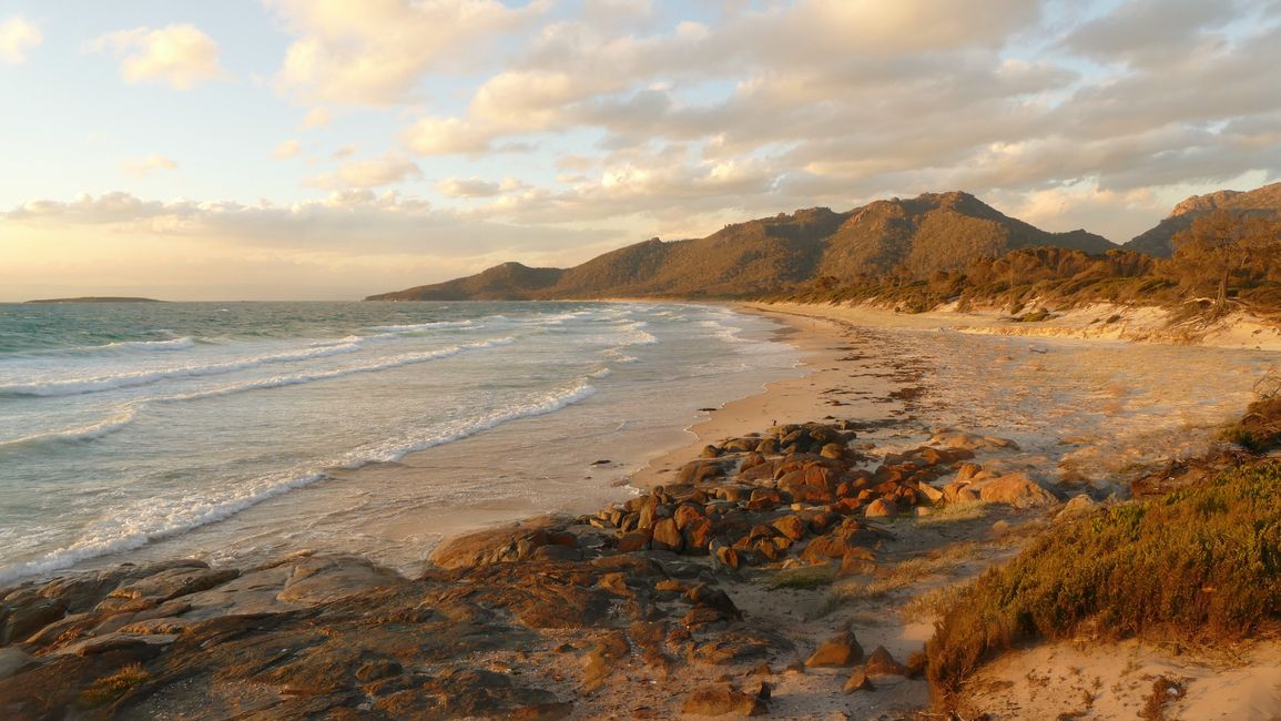 - Singapur & Tasmania 2019 -