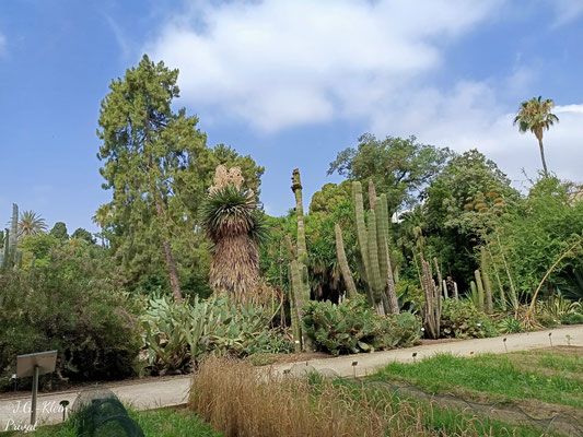 Valencia Stadt und Botanischer Garten