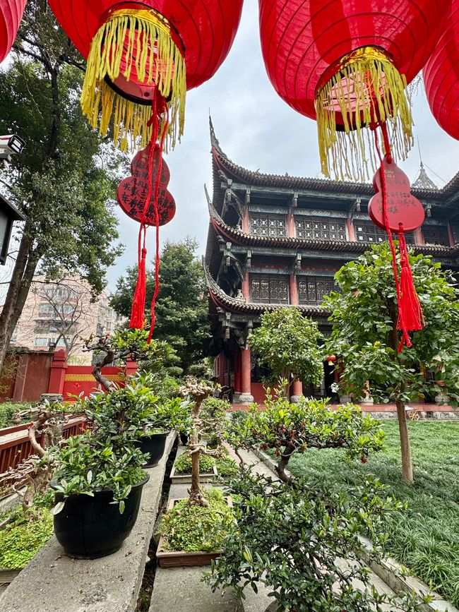 Part 2: Xi'an and Chengdu 🐼
