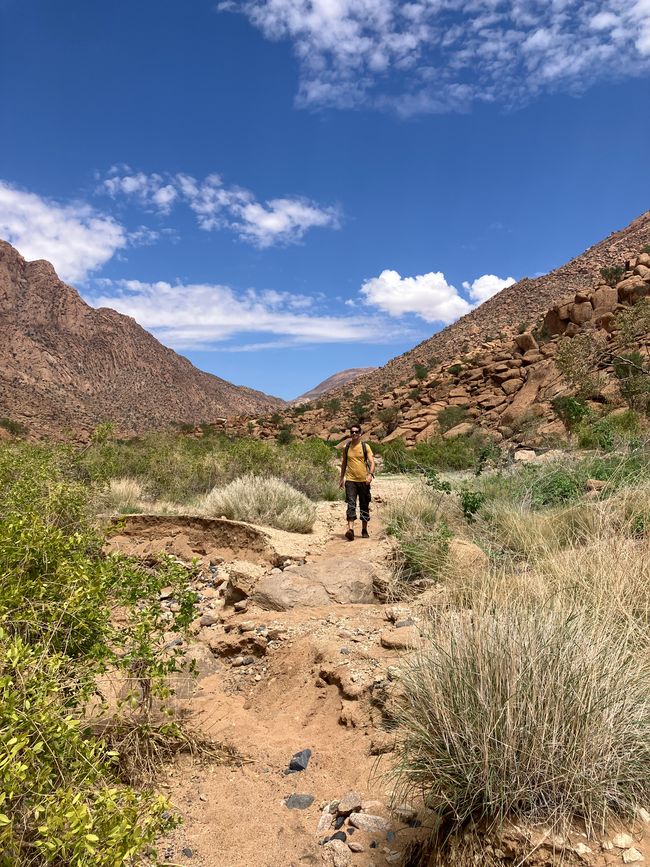 Damaraland