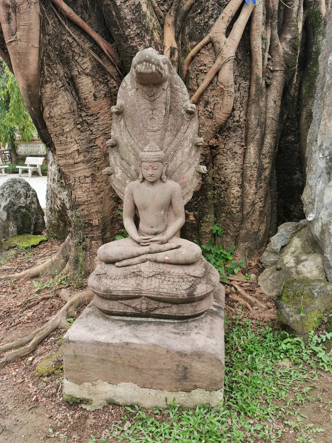 ... au milieu des statues de Bouddha