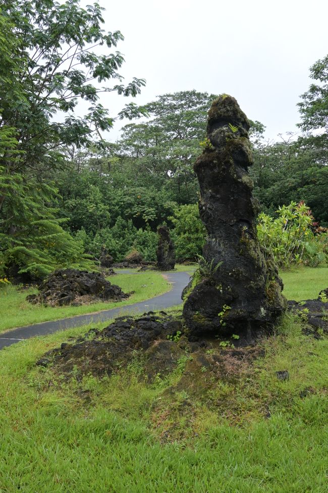 Arbres de lave (troncs d'arbres enveloppés de lave)