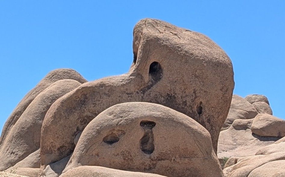 Joshua Tree