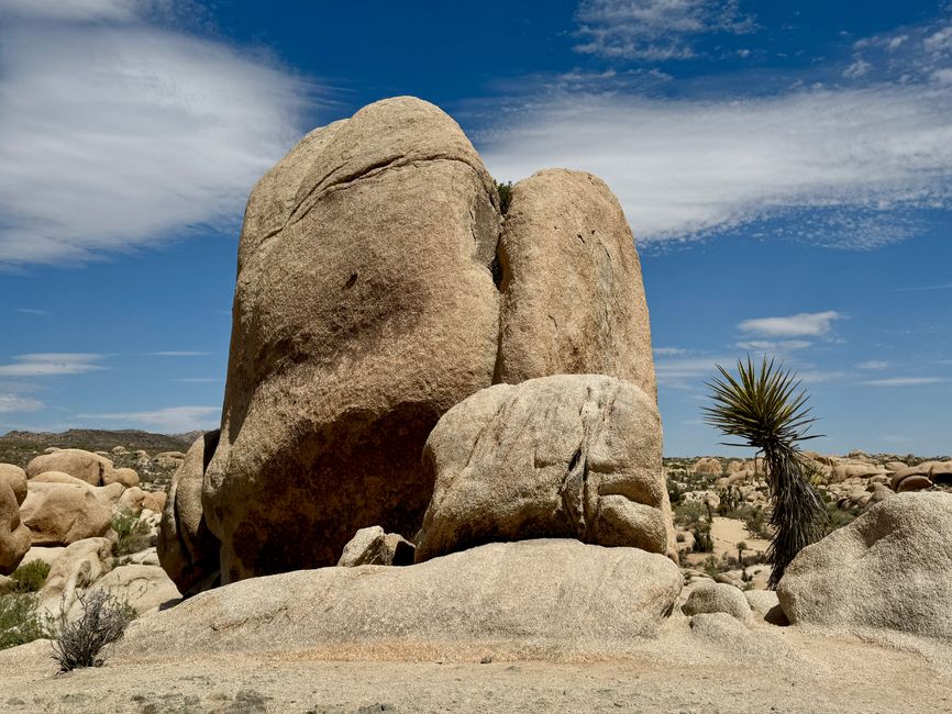 Joshua Tree National Park – Arch Rock & Skull Rock