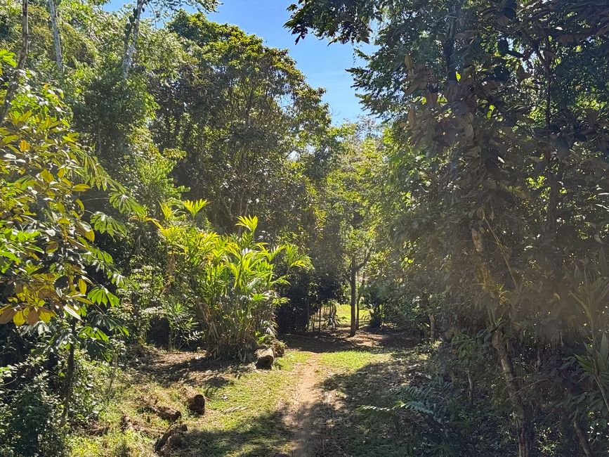 Weiter am Weg zum Dorf