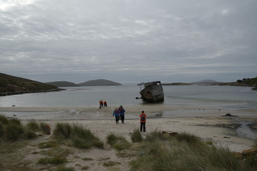 New Island