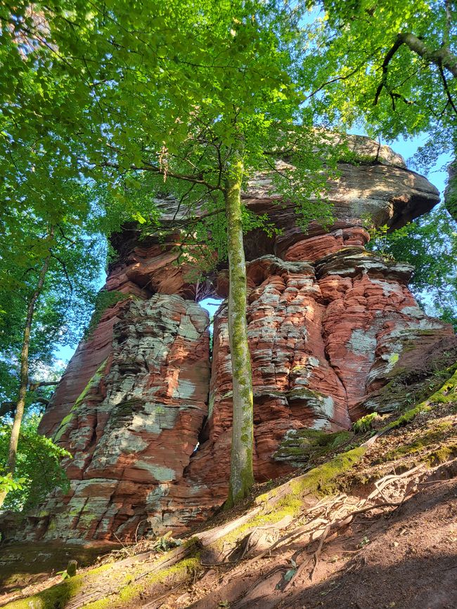 Altschloßfelsen