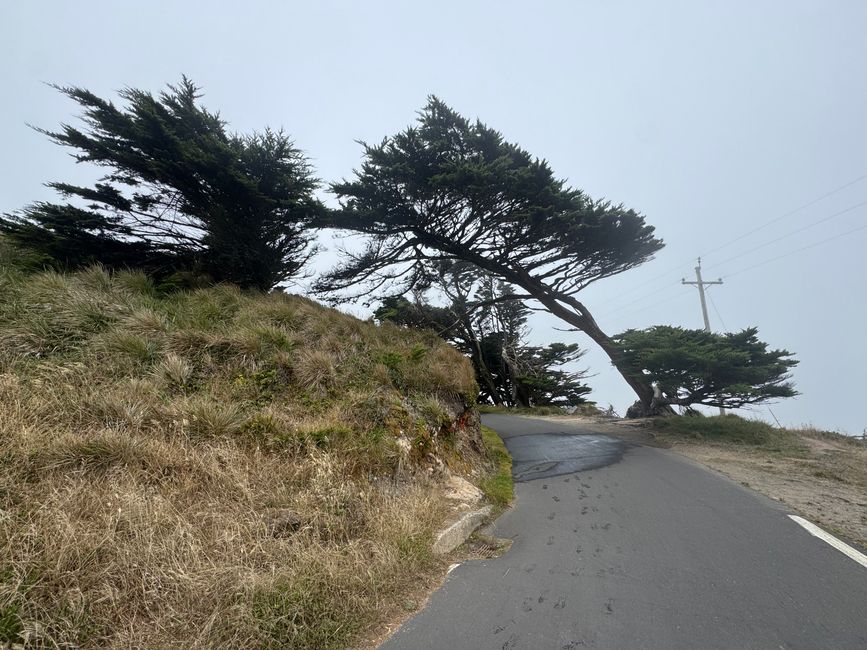 Point Reyes