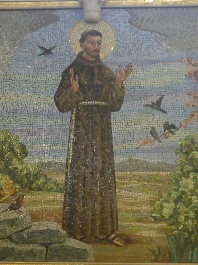 Franz darf in Francisco nicht fehlen 