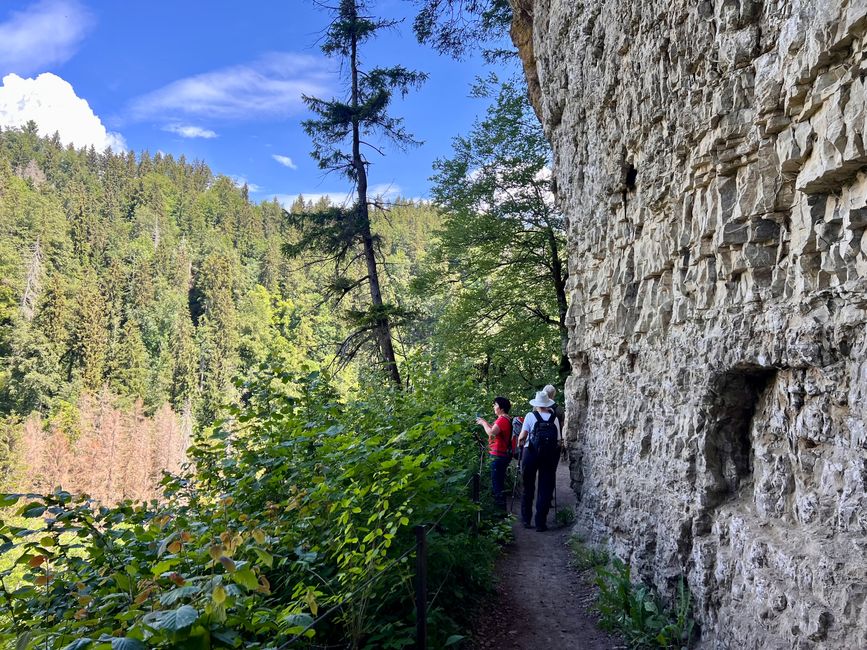 28 Wutachschlucht Pro Wolermoos