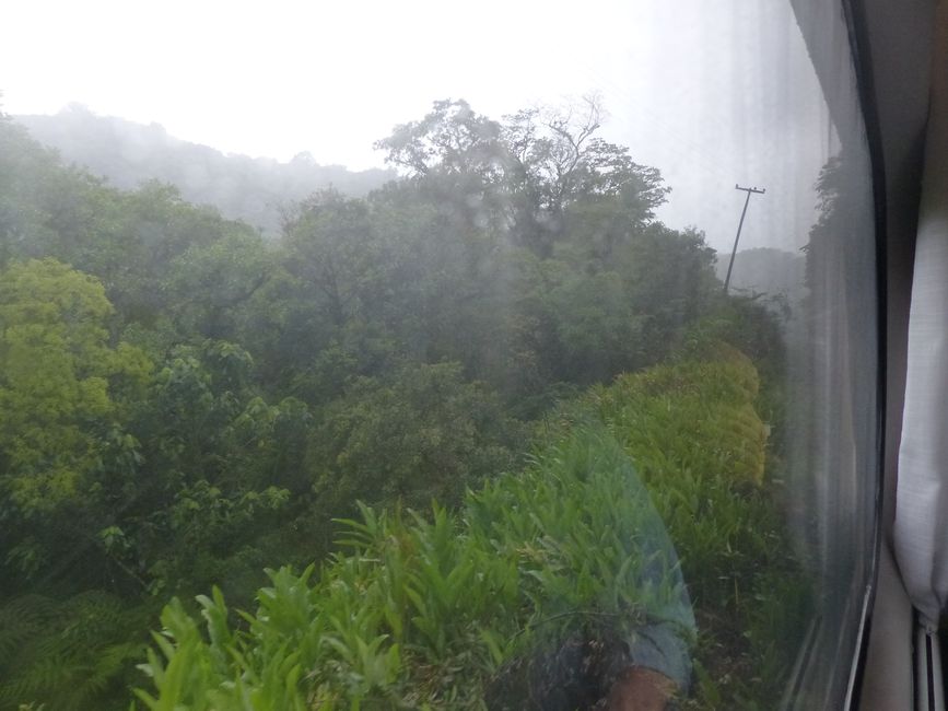 Brasil, Curitiba y viaje en tren por la selva tropical