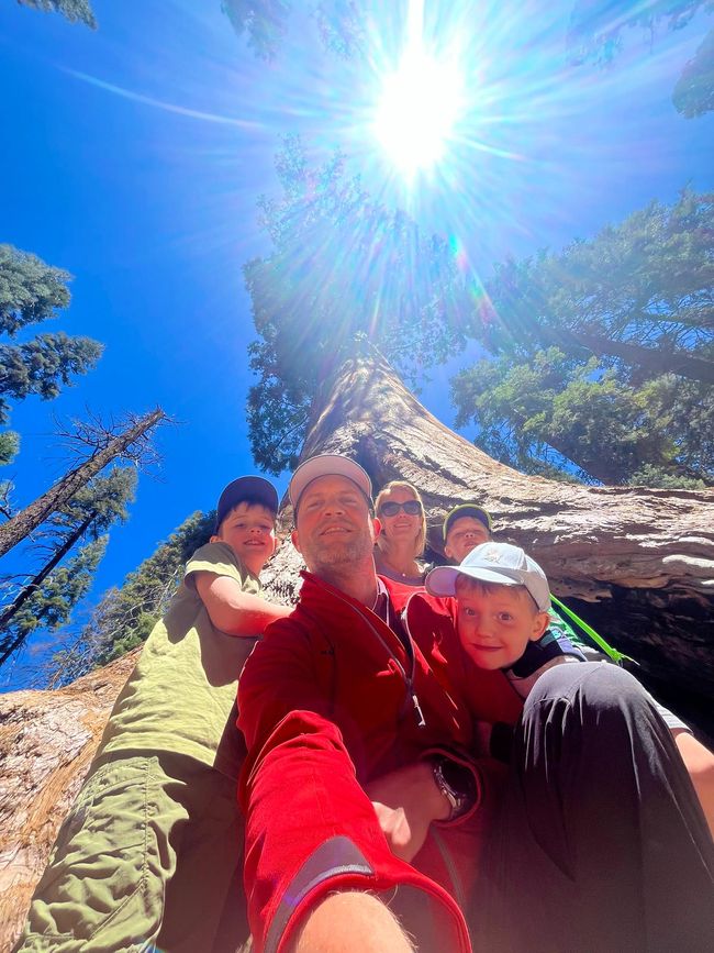 Giganteschi giganti nella Sequoia