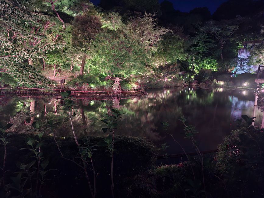 Beautiful Tokyo