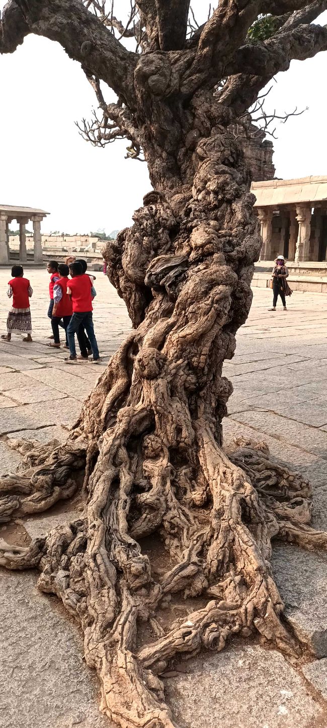 2024-12-13 Hampi und Mysore, Indien