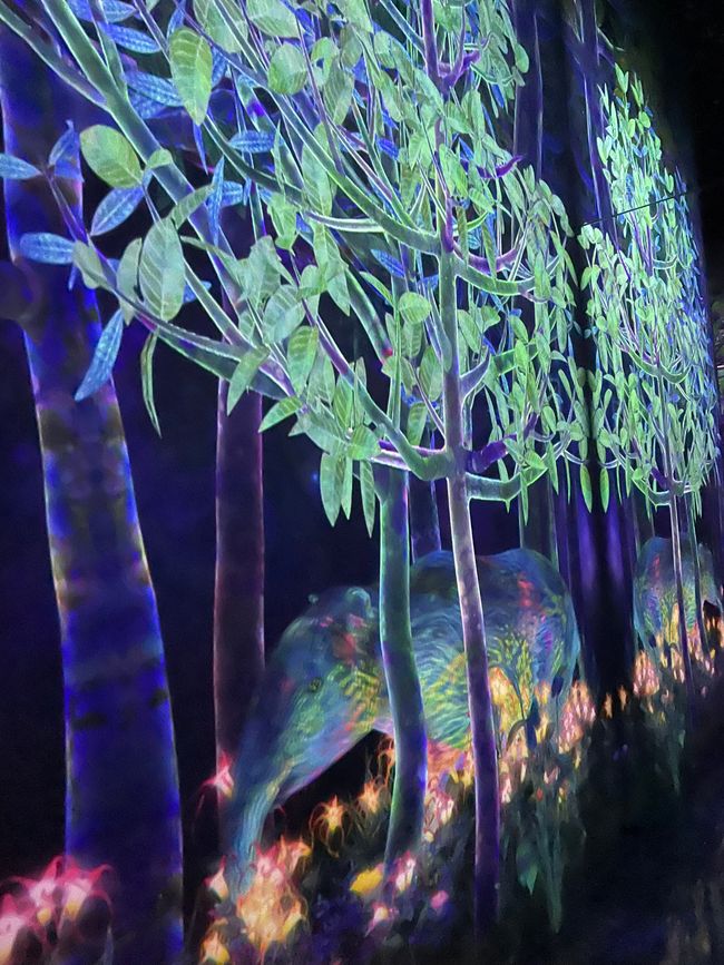 TeamLab Planets