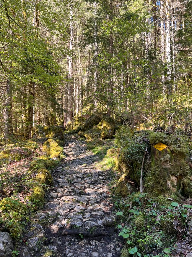 Wanderung auf den Hograt