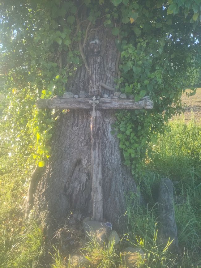 am Wegesrand...