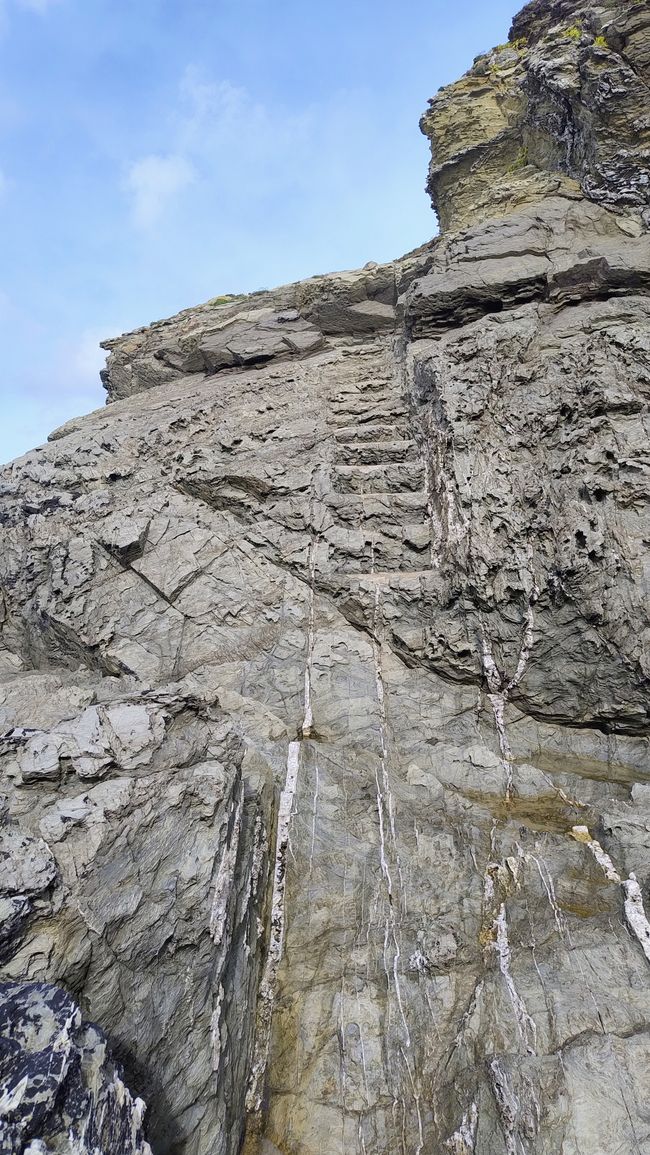 Newquay Glendorgal Headland