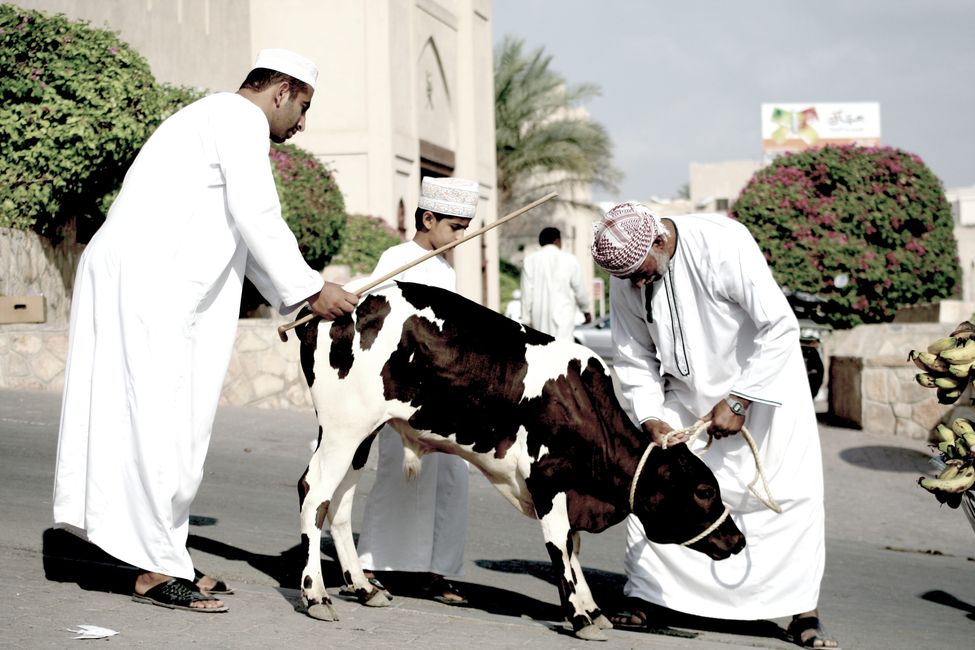The tip of the Arabian Peninsula (1)