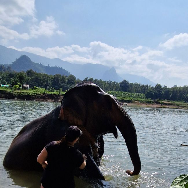 Making new friends in Luang Prabang