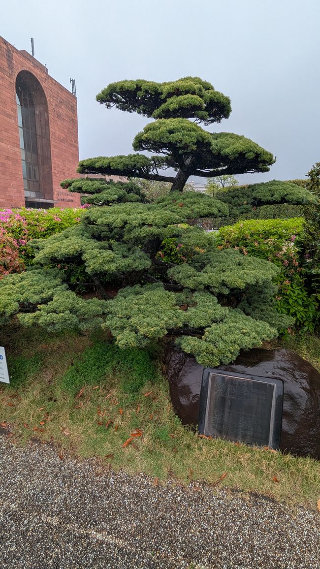 Desafortunadamente, nos despedimos 😢 de Japón, última parada Nagasaki