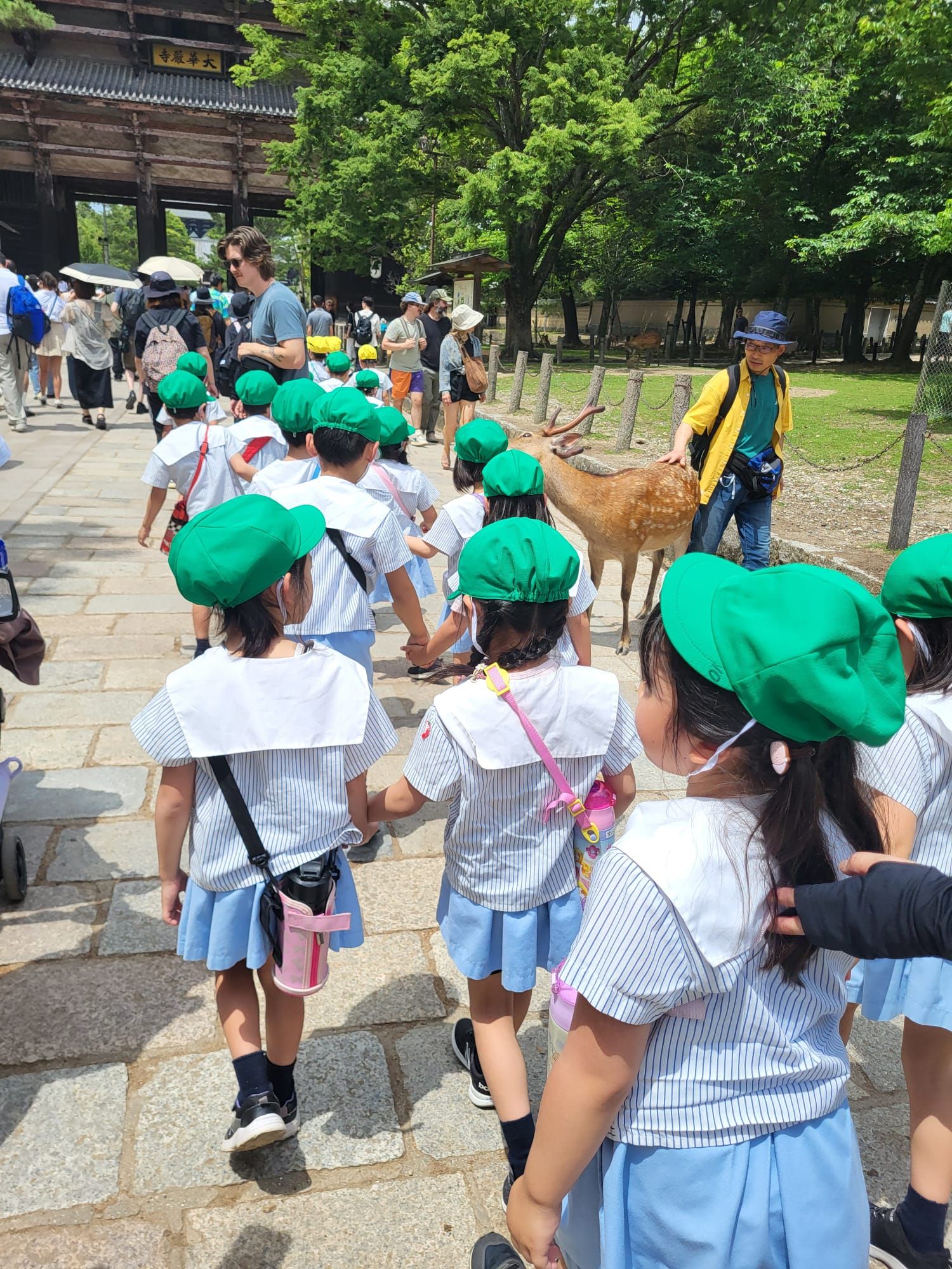 A kindergarten group - the kids seem to be grouped by color 😄 and of course all wearing the same thing