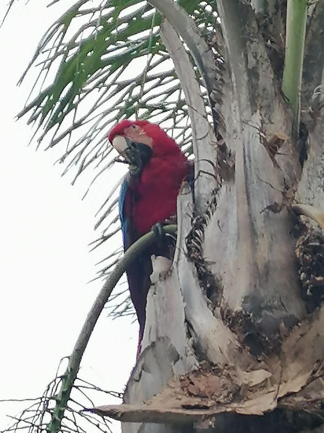 Refugio Canaa Brasil