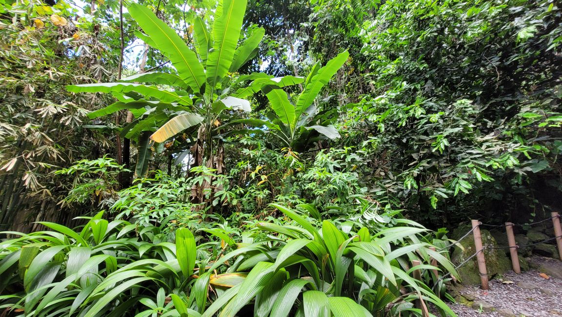 Tour around the edge of Tahiti-Nui