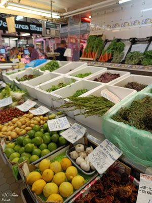 Valencia Stadt und Botanischer Garten