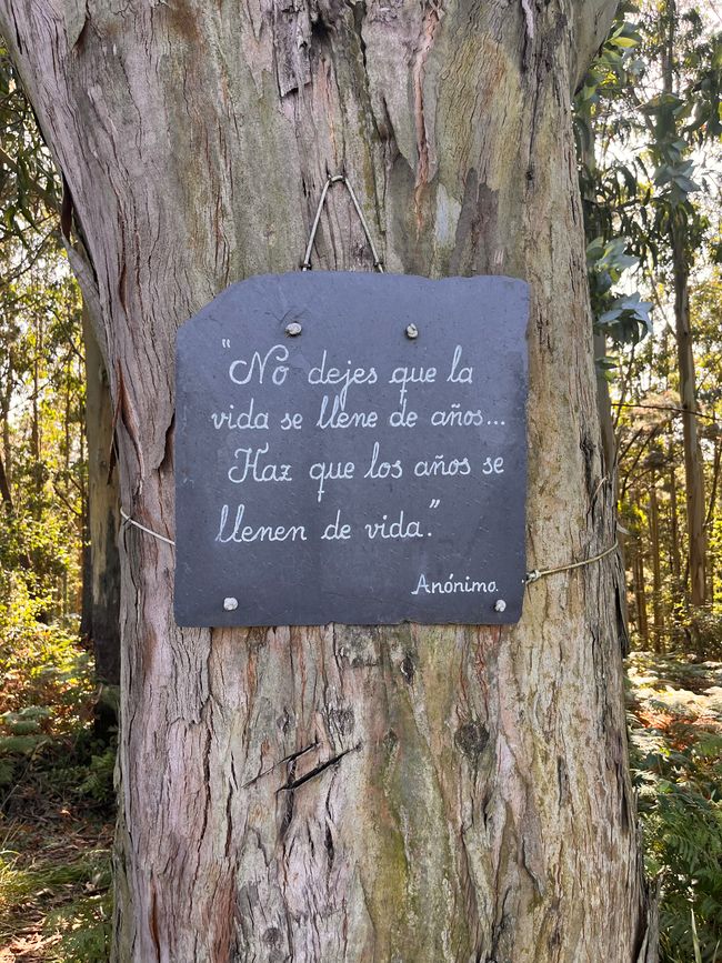 'No dejes que la vida se llene de años, deja que los años se llenen de vida'