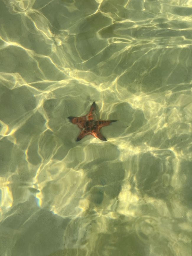 Tag 16 - Phu Quoc: Tierische Higloghts und glitzerndes Einhorn