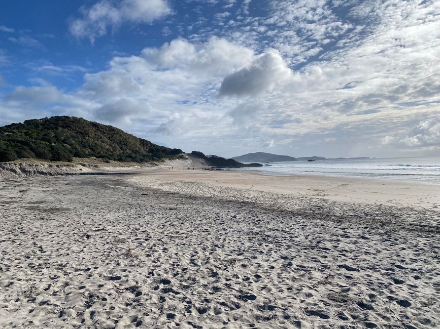 De whangarei à auckland