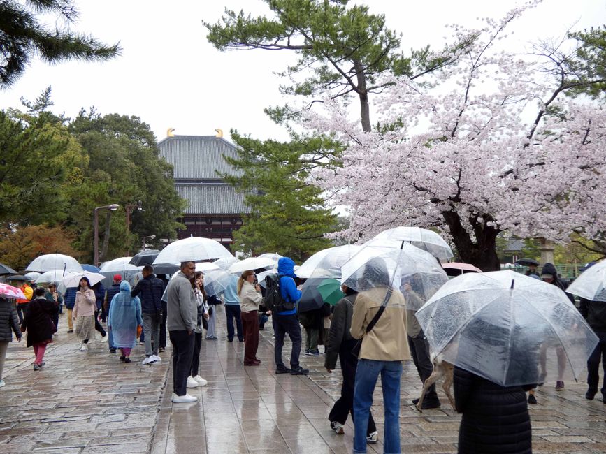 Tōdai-ji-Tempel