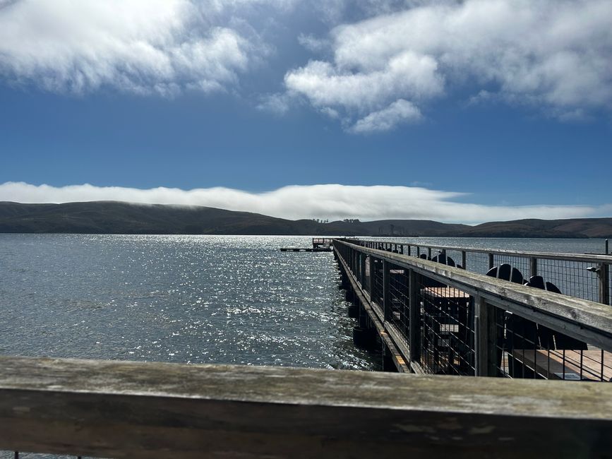 California West Coast: Dillon Beach and San Francisco