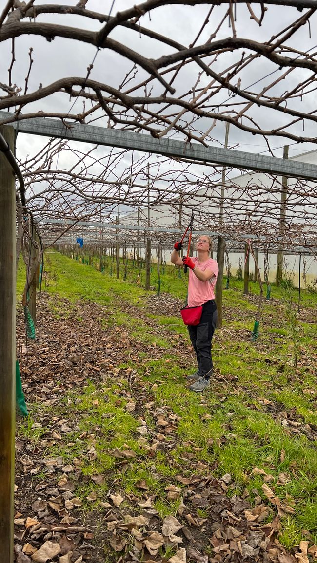 Franzi mit großem Gerät