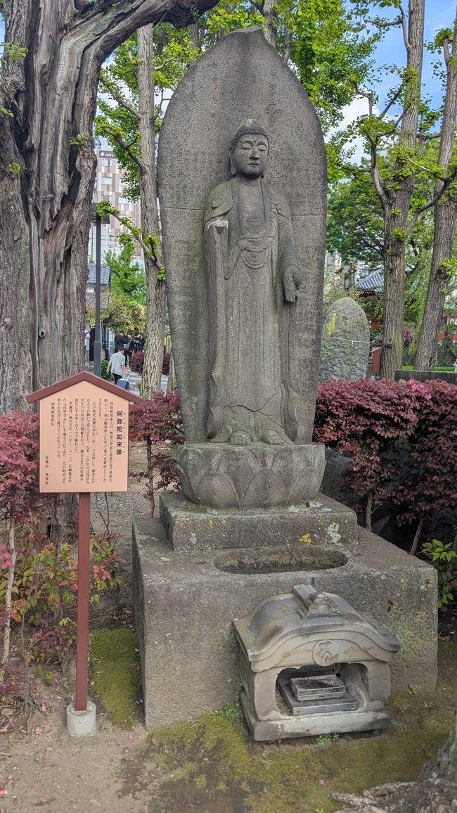 Traumhafter (anstrengender) 2. Tag in Tokyo