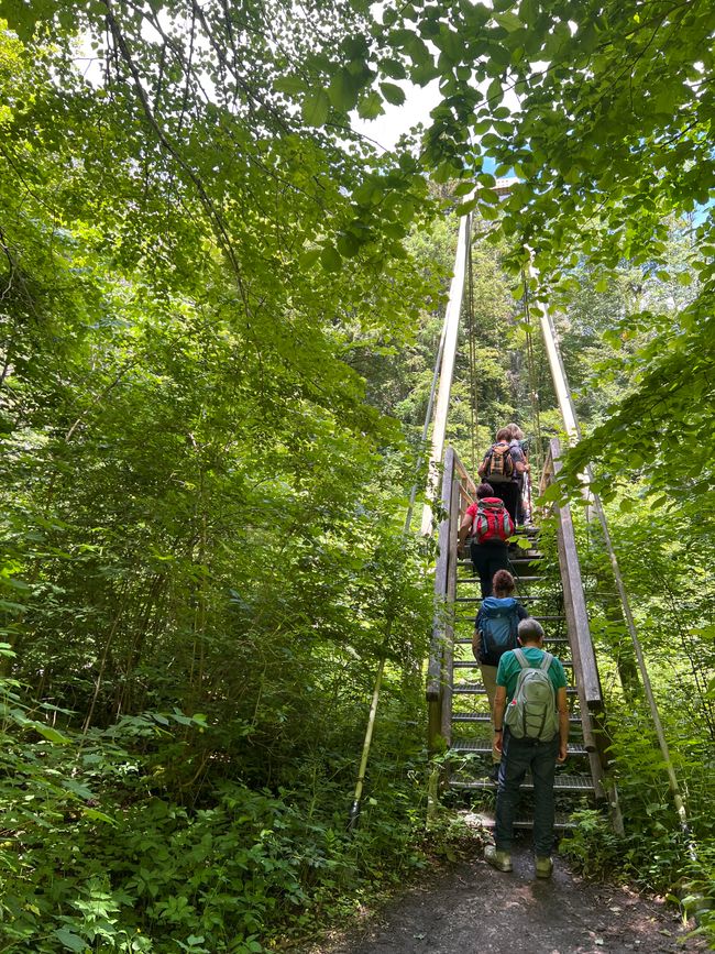 28 Wutachschlucht Pro Wolermoos